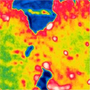 Termografia da amostra de PIR danificada do estudo de Tucker